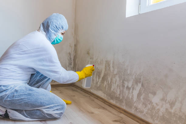 Licensed Bathroom Mold Removal service in Henderson, MD - 24 Hour Mold Removal