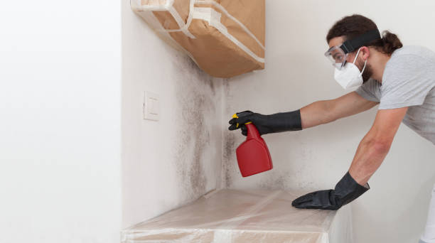 Professional Bathroom Mold Removal technician working in Henderson, MD