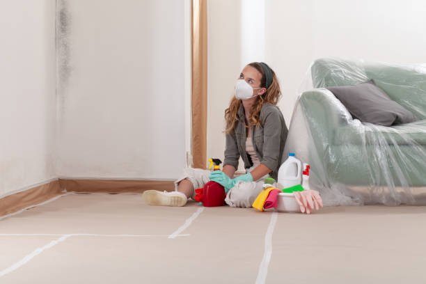 Reliable Bathroom Mold Removal contractor in Henderson, MD by 24 Hour Mold Removal